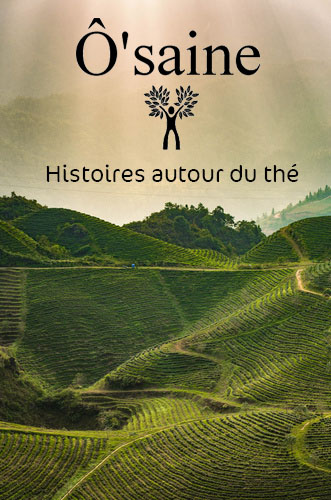 Histoires autour du thé