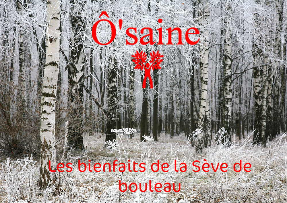 Lien vers la page Bienfaits de la Sève de bouleau